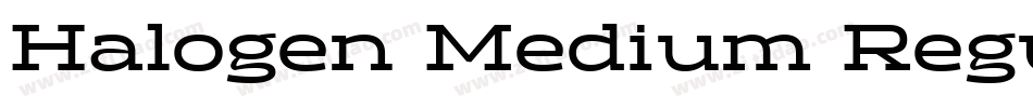 Halogen Medium Regu字体转换